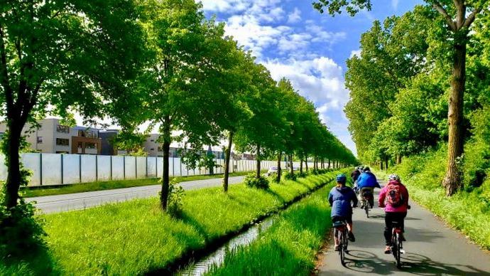 全球十大买球平台排行的学生在绿树成荫的小路上骑自行车